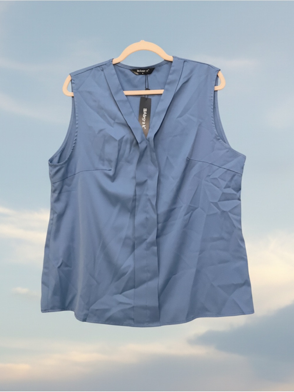 Sleeveless V-Neck Blouse • NWT • 23" p2p, 26.5" length